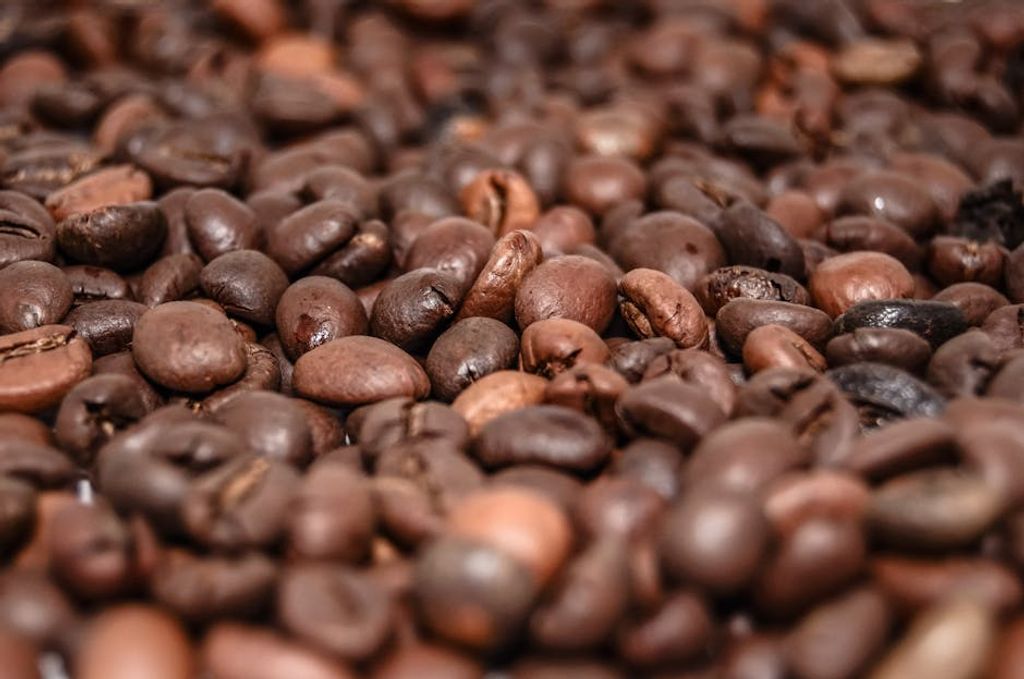 Pixabay באתר PEXELS סוגי פולי קפה: מדריך מקיף לבחירה מושכלת